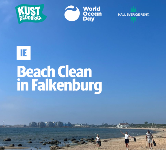 IE Team cleaned the beaches to help keep their local environment clean and tidy.